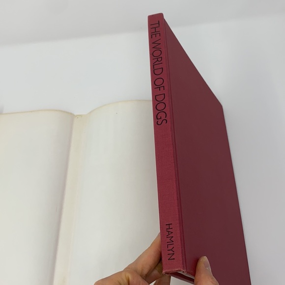 The World of Dogs Book By Wendy Boorer 1970s - Picture 6 of 17